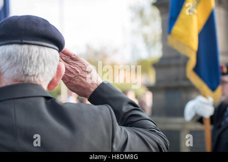 Brentwood, Essex, 11th November 2016, British Legion officer salutes,,  Armistice Day in Brentwood, Essex Credit:  Ian Davidson/Alamy Live News Stock Photo