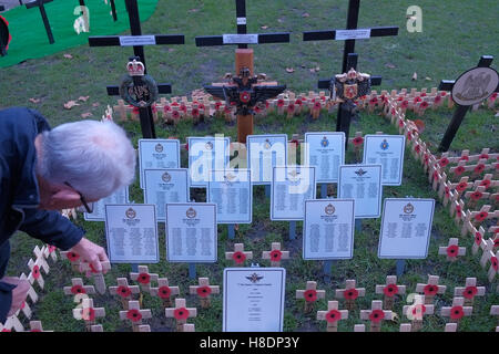 London, UK. 11th November 2016. Field of Remembrance at Westminster Abbey on Armistice Day. claire doherty/Alamy Live News Stock Photo