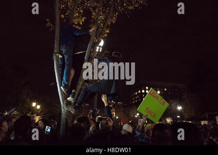 Washington Dc, Washington DC, USA. 8th Nov, 2016. Nov 8, 2016 -Washington DC, U.S. - Trump supporters revel outside the White House in Washington, DC on election night. Trump is elected 45th president of the United States defeating Hillary Clinton. © Ken Cedeno/ZUMA Wire/Alamy Live News Stock Photo