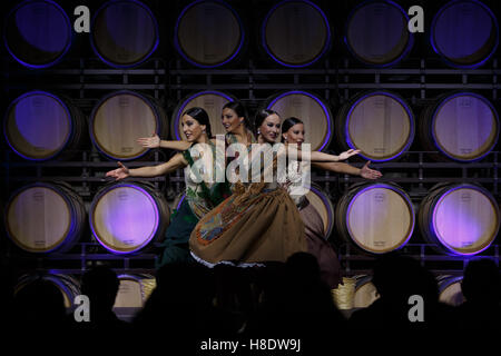 Morales De Toro, Zamora, Spain. 11th Nov, 2016. The wine museum Pagos del Rey celebrated the European Day of Wine Tourism with a show of spanish dance called Vinum, a work of Arvine Danza, an emotional journey through the process of making wine, with the dancers Nereida Garrote, Elysa Lopez, Leticia Prieto and Lara Simon. © Manuel Balles/ZUMA Wire/Alamy Live News Stock Photo