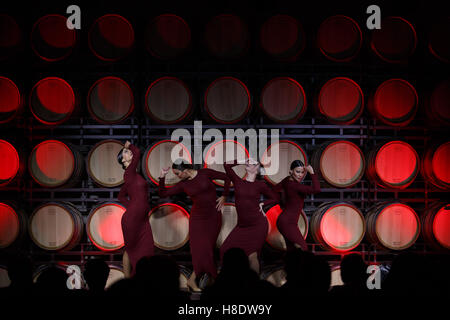 Morales De Toro, Zamora, Spain. 11th Nov, 2016. The wine museum Pagos del Rey celebrated the European Day of Wine Tourism with a show of spanish dance called Vinum, a work of Arvine Danza, an emotional journey through the process of making wine, with the dancers Nereida Garrote, Elysa Lopez, Leticia Prieto and Lara Simon. © Manuel Balles/ZUMA Wire/Alamy Live News Stock Photo