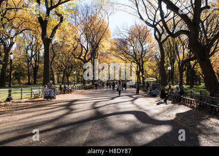 Poet's Walk, Central Park in Autumn, NYC Stock Photo