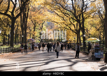 Poet's Walk, Central Park in Autumn, NYC Stock Photo