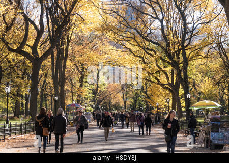 Poet's Walk, Central Park in Autumn, NYC Stock Photo