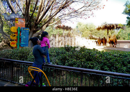 The Chapultepec Zoo in Chapultepec Park, Mexico City, Mexico Stock Photo