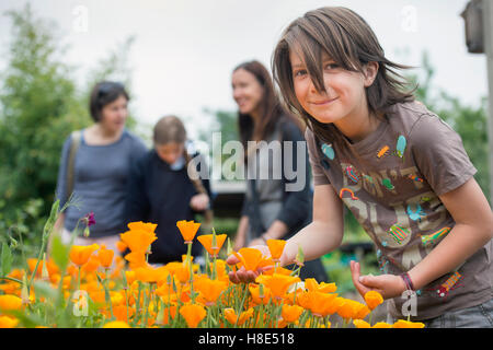 The Golden Hill Community Garden in Bristol UK Stock Photo