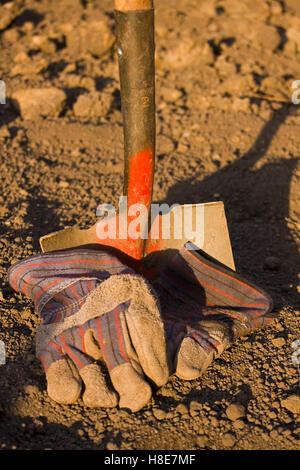 A shovel and gloves glow in the orange sunset at the end of the work day. Stock Photo