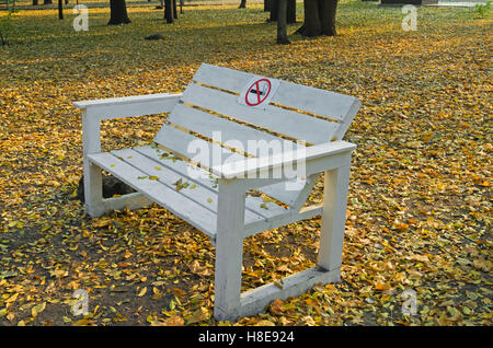 Bench in old abandoned park in the rays of evening sun Stock Photo