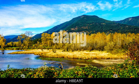 Fall Colors around Nicomen Slough, a branch of the Fraser River, as it flows through the Fraser Valley of British Columbia Stock Photo