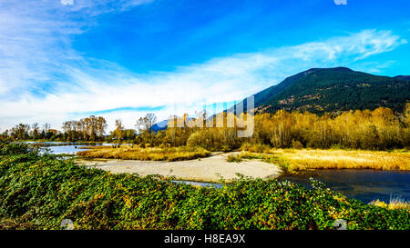 Fall Colors around Nicomen Slough, a branch of the Fraser River, as it flows through the Fraser Valley of British Columbia Stock Photo