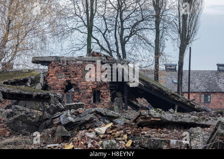 Ruins of the building used to house gas ovens at the Birkenau Concentration camp used by the Nazis in Poland near Auschwitz Stock Photo