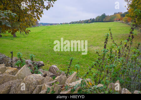 outstanding beauty of the cotswold,england during the autumn Stock Photo