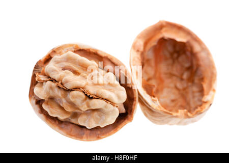 isolated on white walnuts Stock Photo