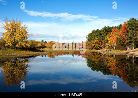 Vibrant autumn leaves and colors of fall tree foliage reflect on the waters of Lake Sabago, Maine in October. Stock Photo