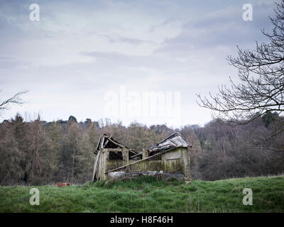 an old derelict fallen down shed in the countryside Stock Photo