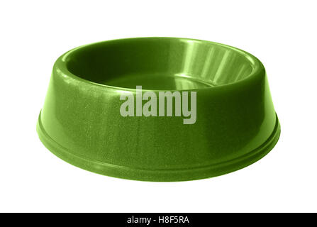 Cat, dog rodent feeding green bowl isolated on white background Stock Photo
