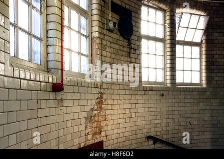 Filthy ceramic tiles wall with windows for horror background use Stock Photo