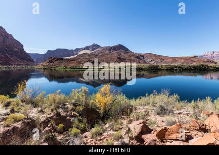 Colorado river flowing through the Arizona desert near Lees Ferry. Stock Photo