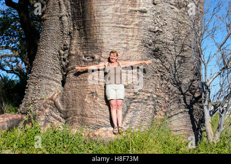 Size comparison, woman standing in front of a gigantic baobab tree (Adansonia digitata), Baines Baobabs, Kudiakam Pan Stock Photo