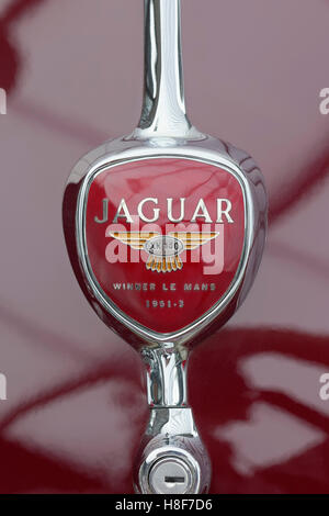 Jaguar XK140 badge winner Le Mans 1951-53 Stock Photo: 8324859 - Alamy