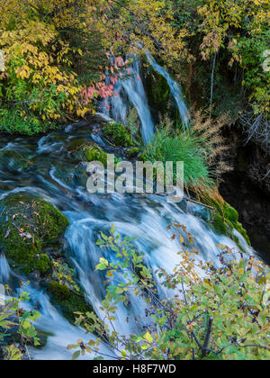 Roughlock Falls, Spearfish Canyon Scenic Byway, Savoy, South Dakota. Stock Photo