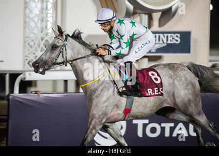 DOHA, QATAR - November 3rd 2016 Qatar Racing and Equestrian Club. Alberto Sanna riding Afreetah during race 3 of the second race Stock Photo