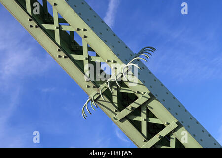 Anti-climb hooks, Runcorn to Widnes Silver Jubilee road bridge, A533, Halton, Cheshire, England, UK Stock Photo