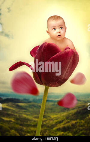 Th baby on red tulip collage Stock Photo