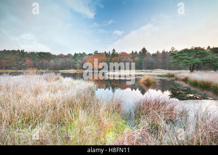 frosty morning on lake in autumn, Drenthe, Netherlands Stock Photo