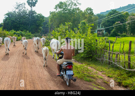 Kamphong Chhnang, Tonle Sap River,  Cambodia Stock Photo