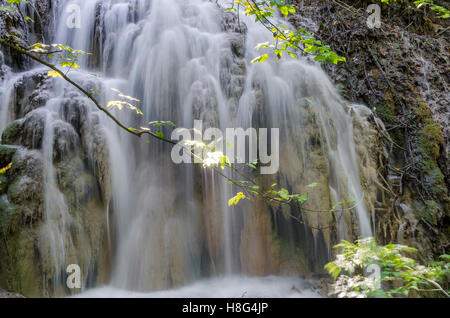 FORET DE ST PONS, CASCADE DU GOUR DE L'OULE, GEMENOS BDR 13 FRANCE Stock Photo