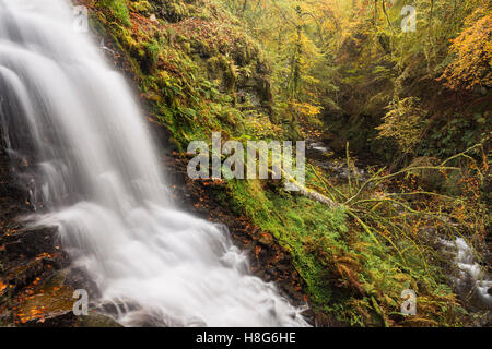 A Waterfall runs down rocks at The Birks of Aberfeldy along the Moness Burn in Perthshire, Scotland in Autumn. Stock Photo