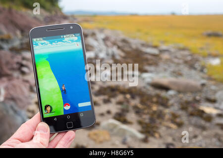 Kamouraska, CA - September 27, 2016: An Android user is playing Pokemon Go, a mobile game developed by Niantic Stock Photo