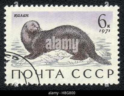 A postage stamp printed in USSR shows sea otter - Enhydra lutris, series, circa 1971 Stock Photo