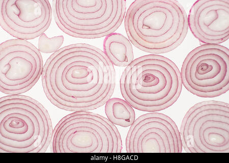 Red sliced onion background Stock Photo