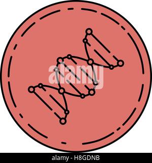 DNA icon. Logo template of DNA. DNA symbol sign Stock Vector