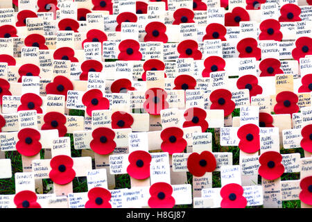 London, 11th November 2016. Poppies on crosses commemorating Armistice Day - Westminster Abbey, with names of individual soldiers Stock Photo