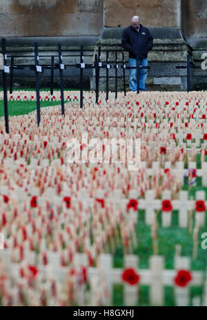 London, UK. 12th Nov, 2016. A man looks at poppy petals and crosses at the Field of Remembrance at Westminster Abbey in London, Britain on Nov. 12, 2016, one day after Armistice Day, which marks the end of World War I in 1918. Hundreds of small crosses bearing poppy petals have been planted in the Field of Remembrance to pay tribute to British servicemen and women who have lost their lives in conflict. © Han Yan/Xinhua/Alamy Live News Stock Photo