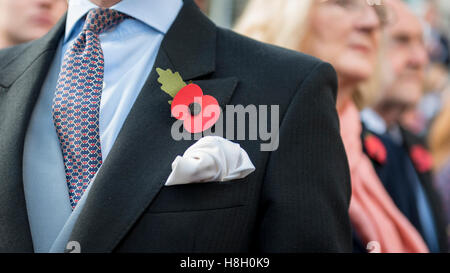 London, UK.  13 November 2016.  People gather in central London on Remembrance Sunday to commemorate the fallen. Credit:  Stephen Chung / Alamy Live News Stock Photo