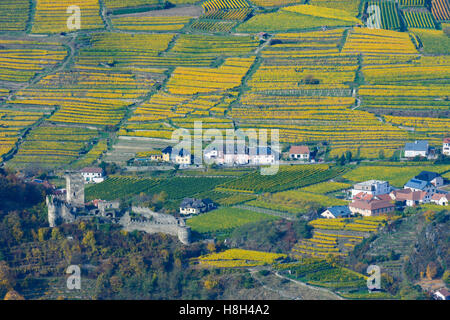 Spitz: Hinterhaus Castle, vineyards, vineyard estate, Wachau, Niederösterreich, Lower Austria, Austria Stock Photo