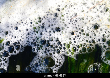 Bubbles jamming together creating scum on a rivers' back water. Stock Photo