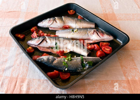 Cooked Sea-bass (Dicentrarchus labrax) Stock Photo