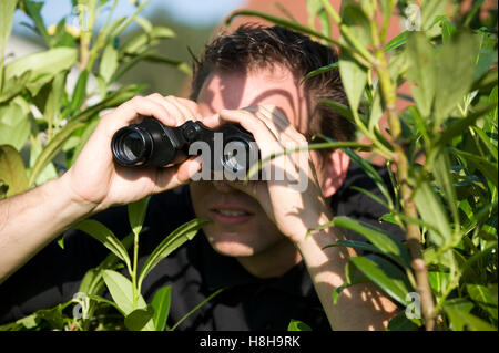 Curious neighbour with binoculars hiding behind a hedge Stock Photo