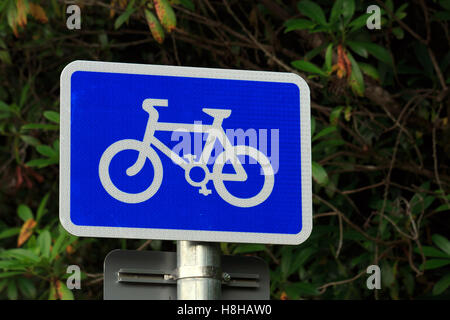 Blue white Cycle route sign Stock Photo