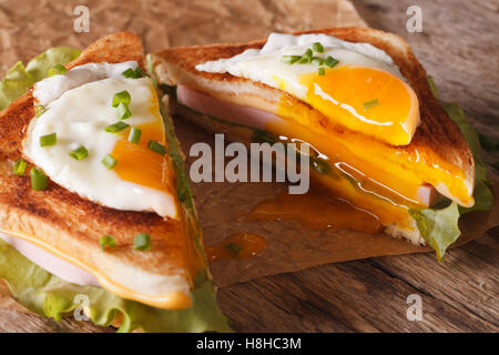 Cut in half sandwich with a fried egg, ham and cheese close-up on the paper on the table. horizontal Stock Photo
