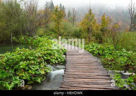 Autumn forest pathway in plitvice national park-Croatia Stock Photo