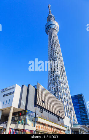 Tokyo, Japan January 25th, 2015: Tokyo Sky Tree, the highest free-standing structure in Japan. Stock Photo