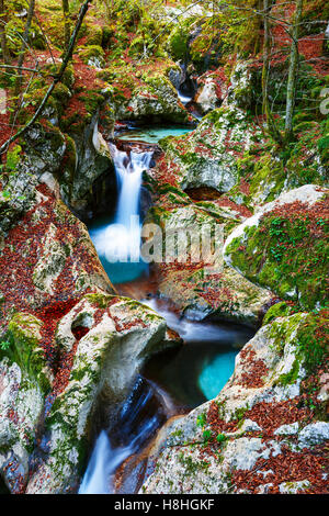 Mountain creek autumn in the Lepena valley in Slovenia Stock Photo