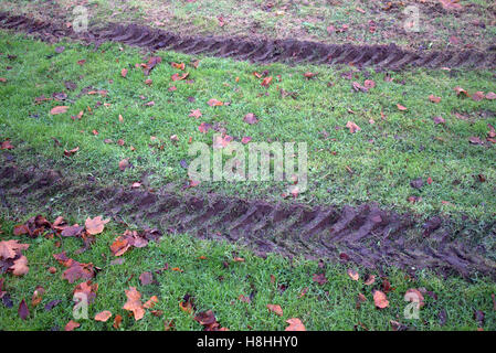 tractor byre tracks in mud with grass green Stock Photo