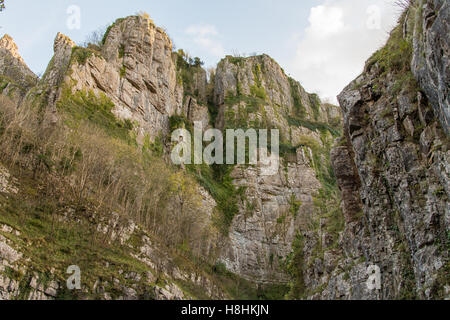 Looking up at cliffs of Cheddar Gorge. High limestone cliffs in canyon in Mendip Hill in Somerset, England, UK Stock Photo